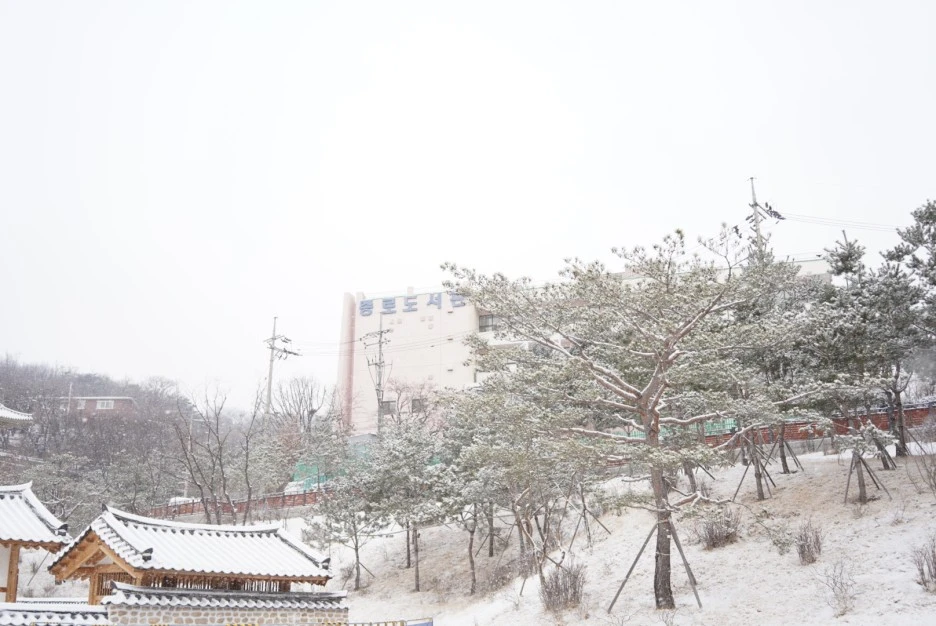 PAR09246.JPG?type=w1