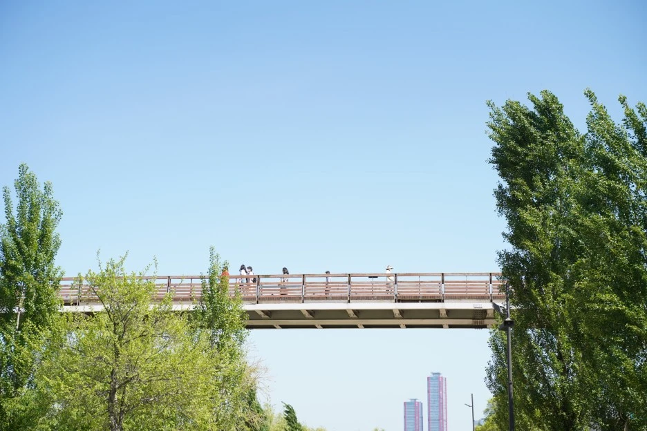 PAR07153.JPG?type=w1