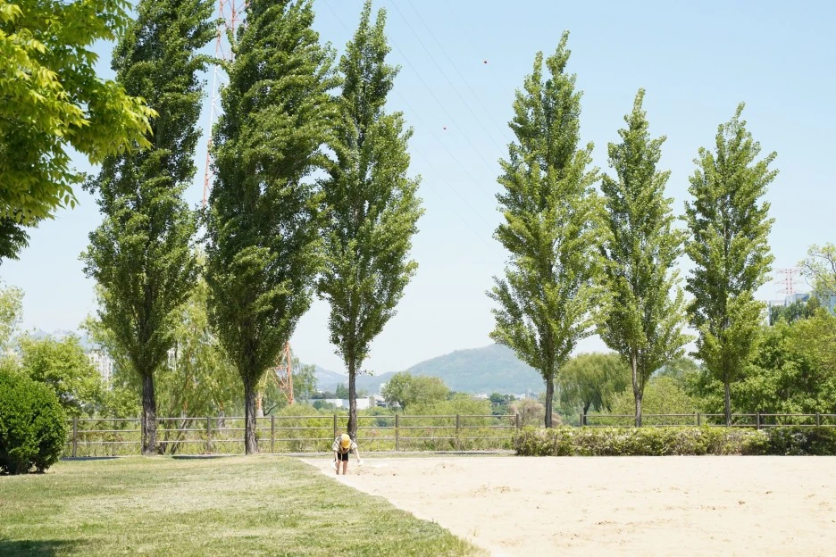 SE-996091c2-85d3-4c09-9e07-ad9a55707e3f.jpg?type=w1