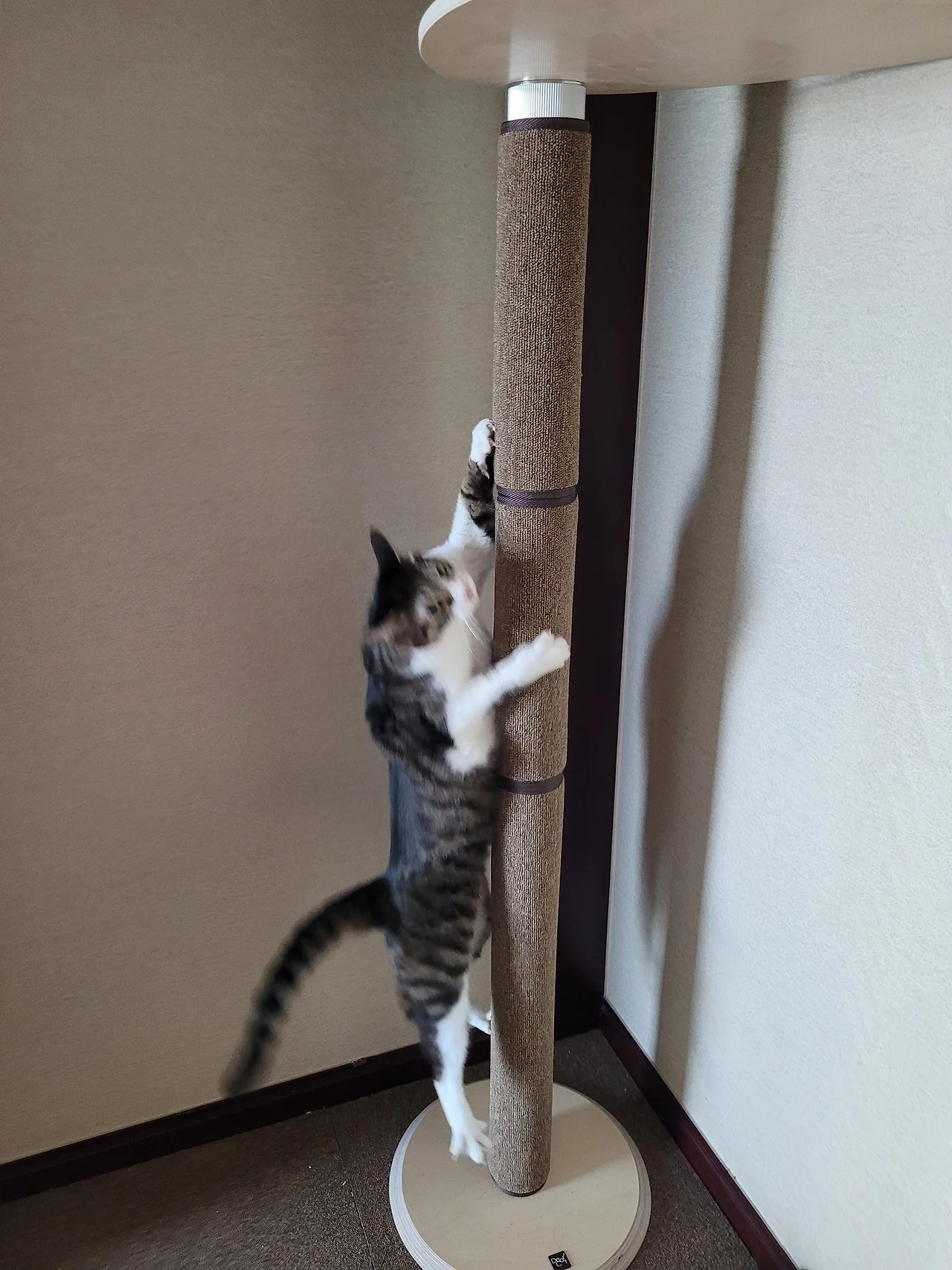 Exy23LeUUAA2CjZ.jfif