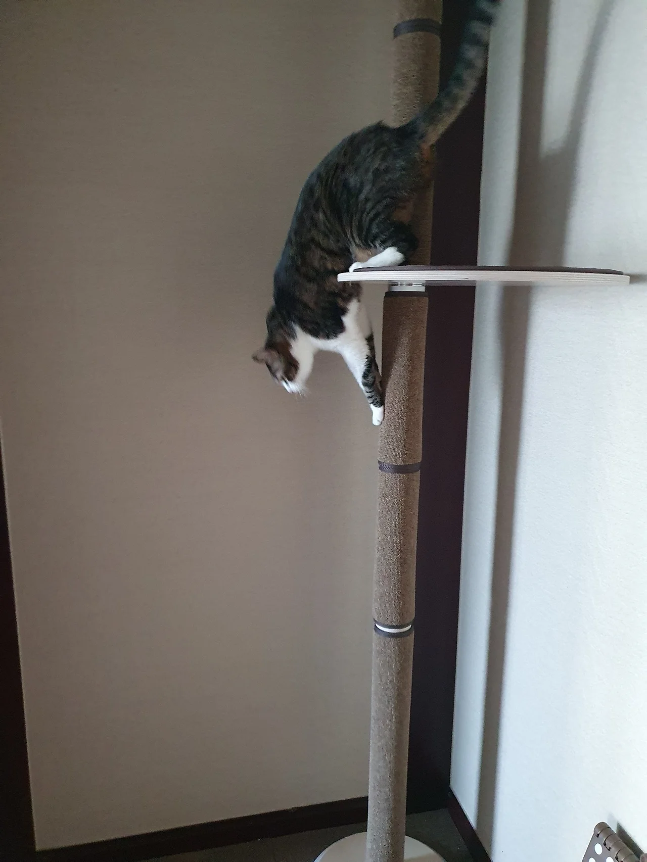 ExtvTo-UcAI9jLN.jfif