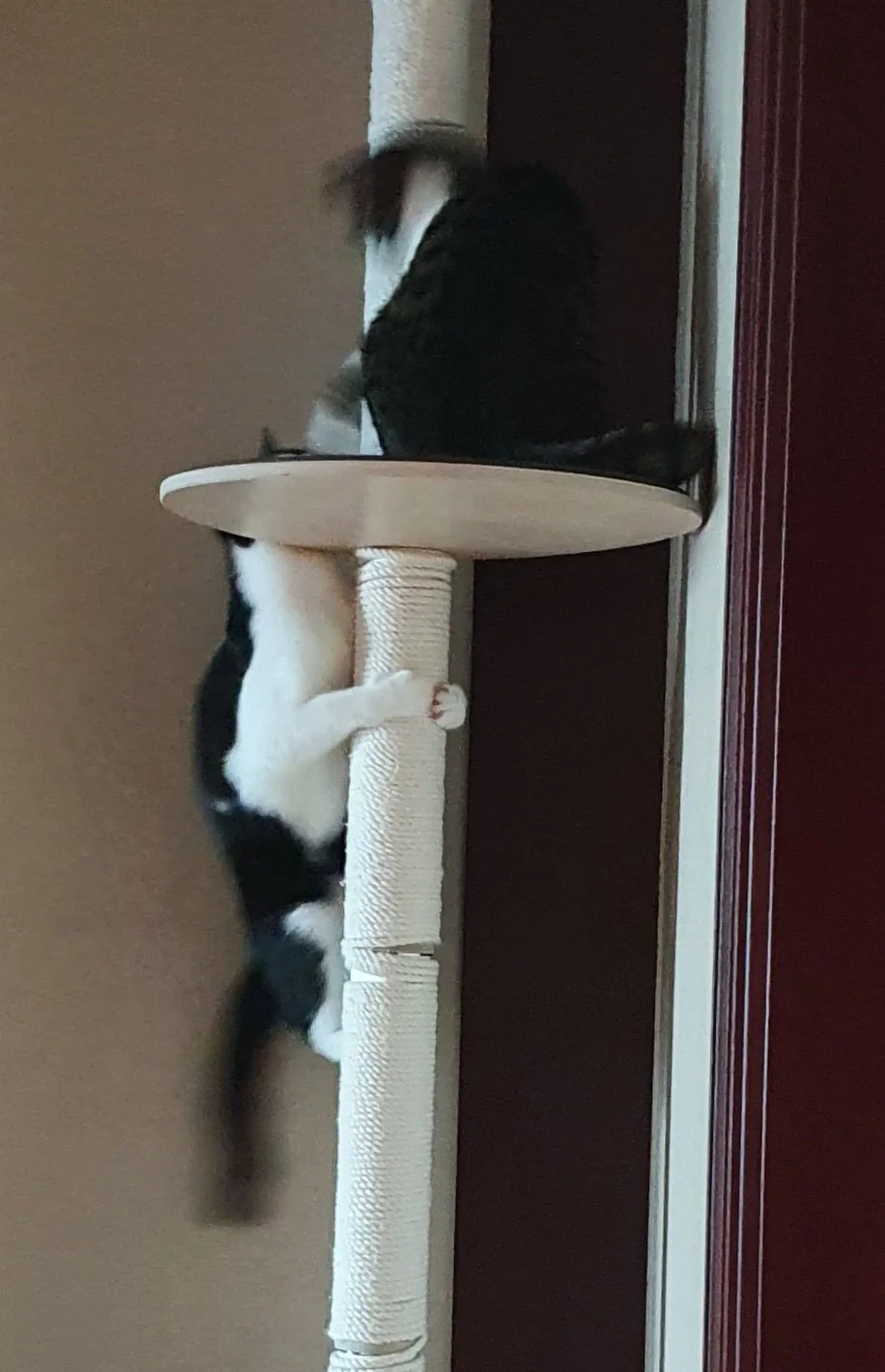 E_t5z_-VkAEY60_.jfif