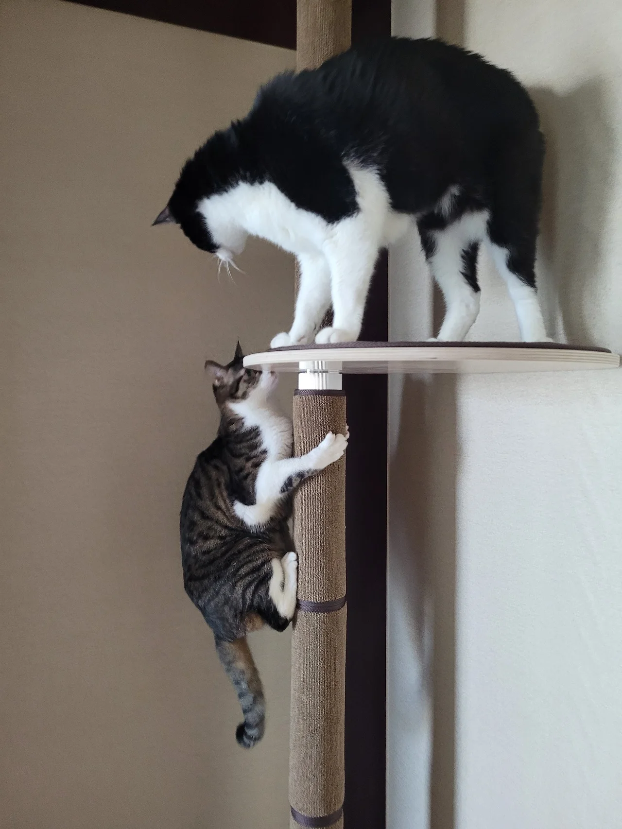 Exy22cmUYAEZer7.jfif