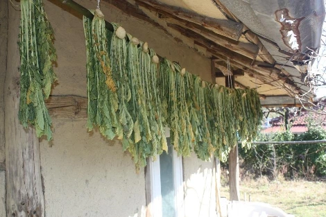처마밑 시래기.jpeg