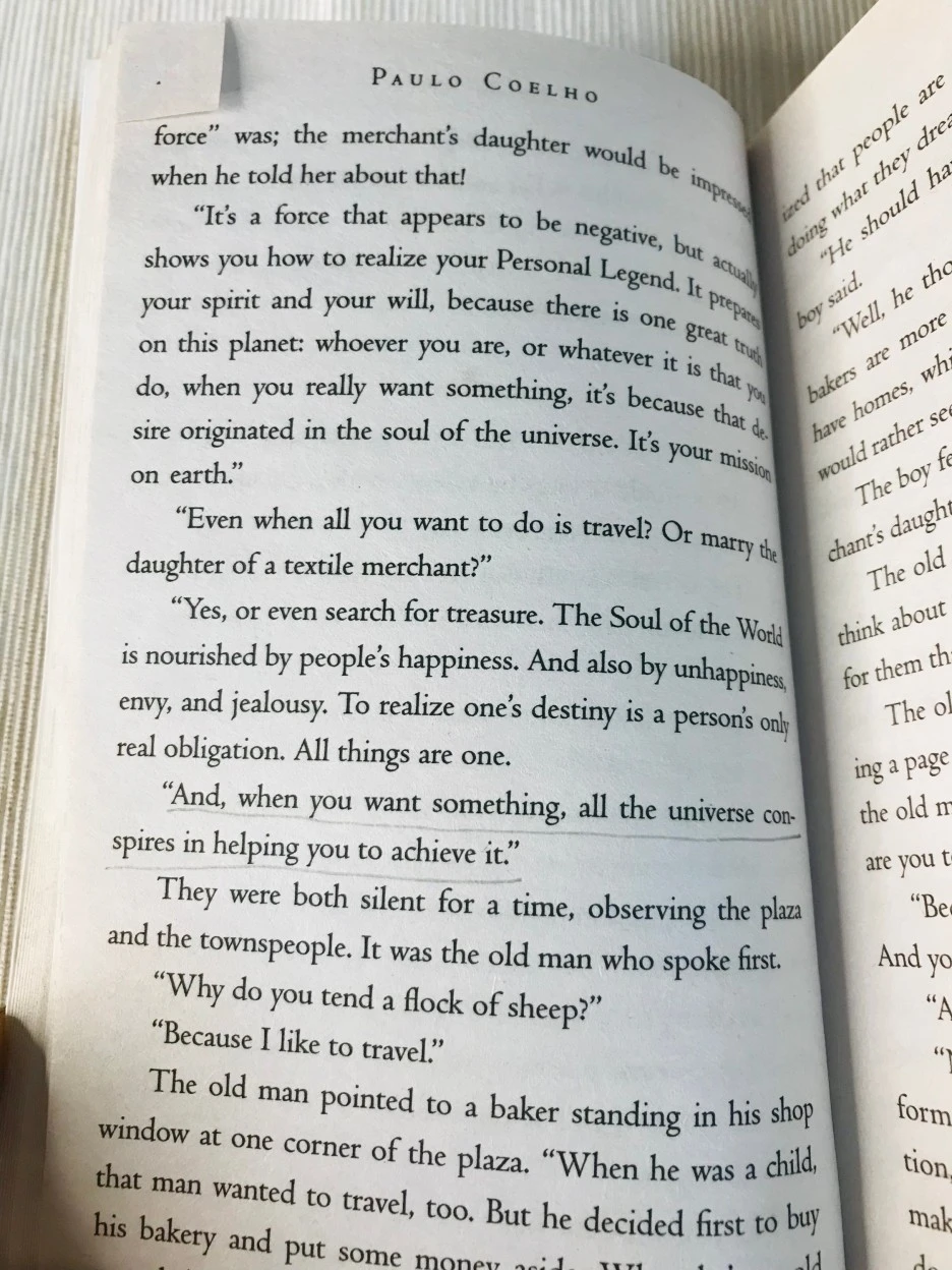 SE-a8fb5114-8704-4343-831a-0b5f042661d8.jpg?typew1