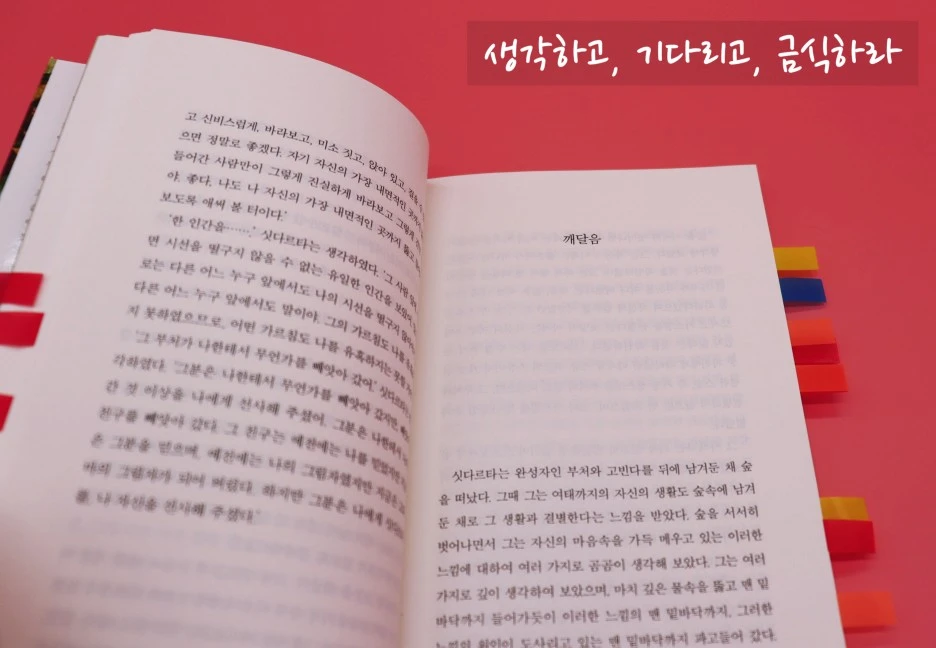 SE-415df72f-4d5f-48ab-be5b-2db37c29cf58.jpg?type=w1