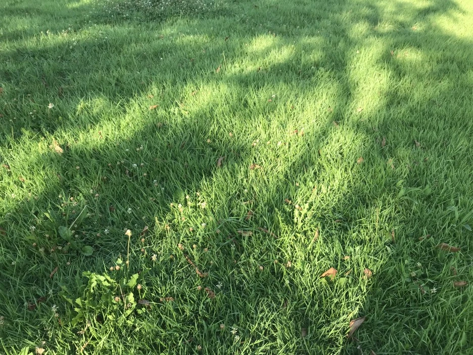 KakaoTalk_Photo_2021-07-25-21-32-09_003.jpeg?type=w1