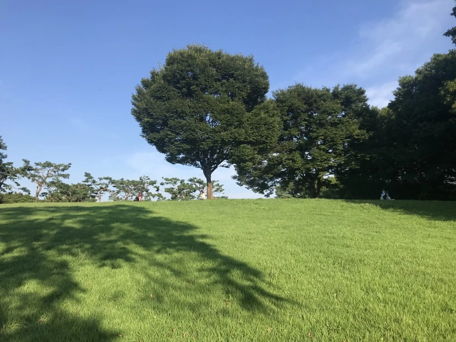 KakaoTalk_Photo_2021-07-25-21-32-09_002.jpeg?type=w1