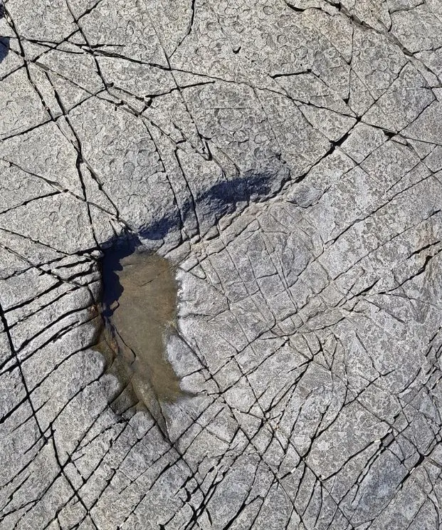 용마 발자국.JPG