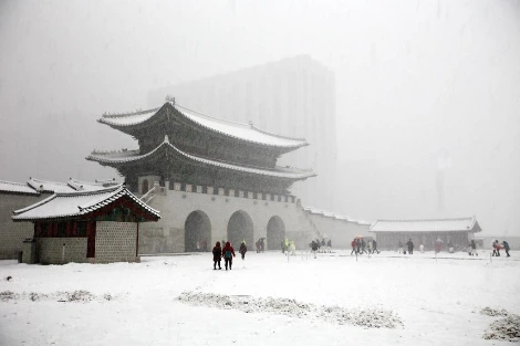 2520EB4052AB206F08.jfif