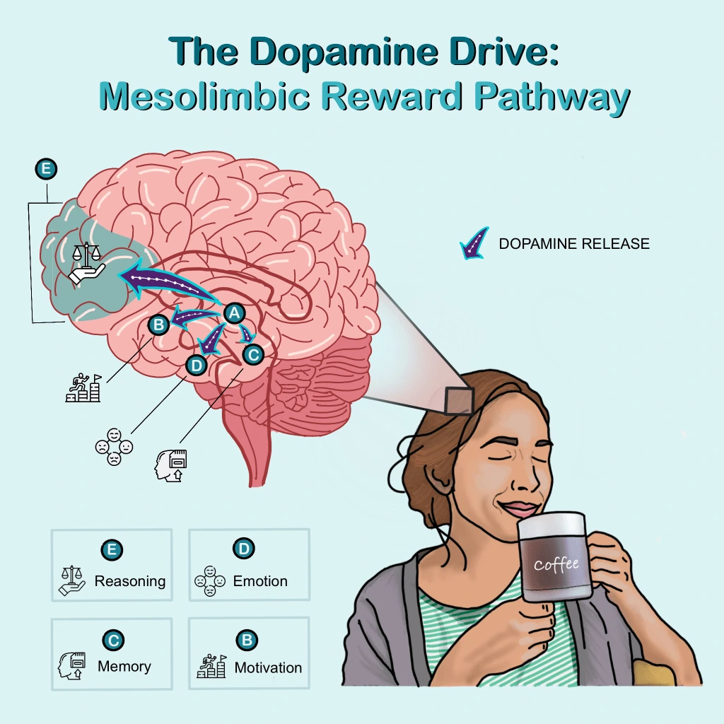 graphic_the-dopamine-drive.png?w=1024