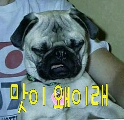 ?src=http%3A%2F%2Fblogfiles.naver.net%2F20151129_203%2Frulzhan_1448804419115Dclpe_JPEG%2Fb93a1a54ab79ef900d6432e22a4719619bed81fb6e7ebd811d1641eed663d809.jpg&type=sc960_832