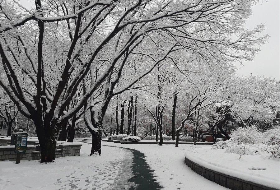 1708602567935.jpg?type=w1