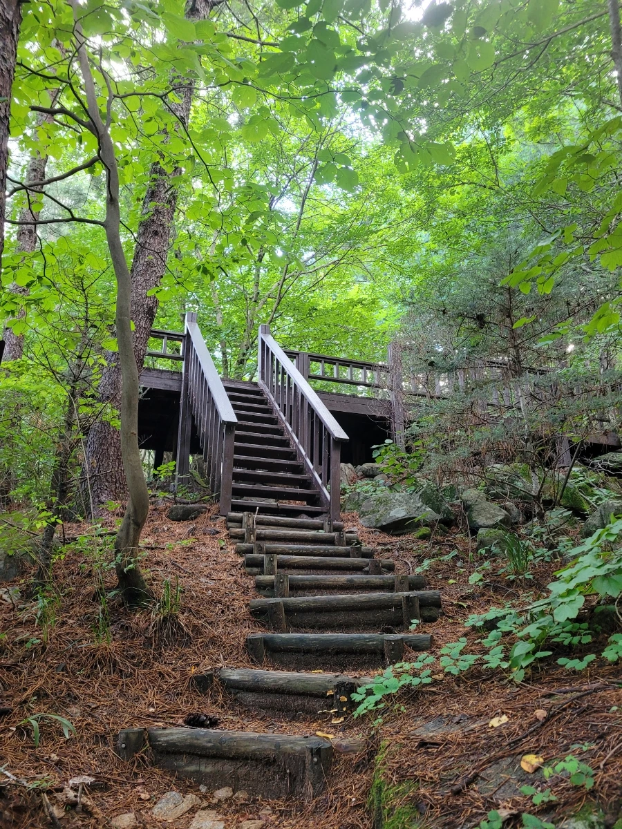 20220801%EF%BC%BF173634.jpg?type=w966