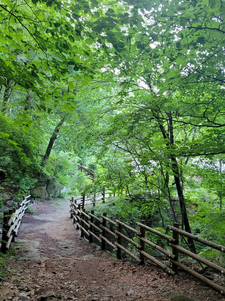 20220801%EF%BC%BF180207.jpg?type=w966