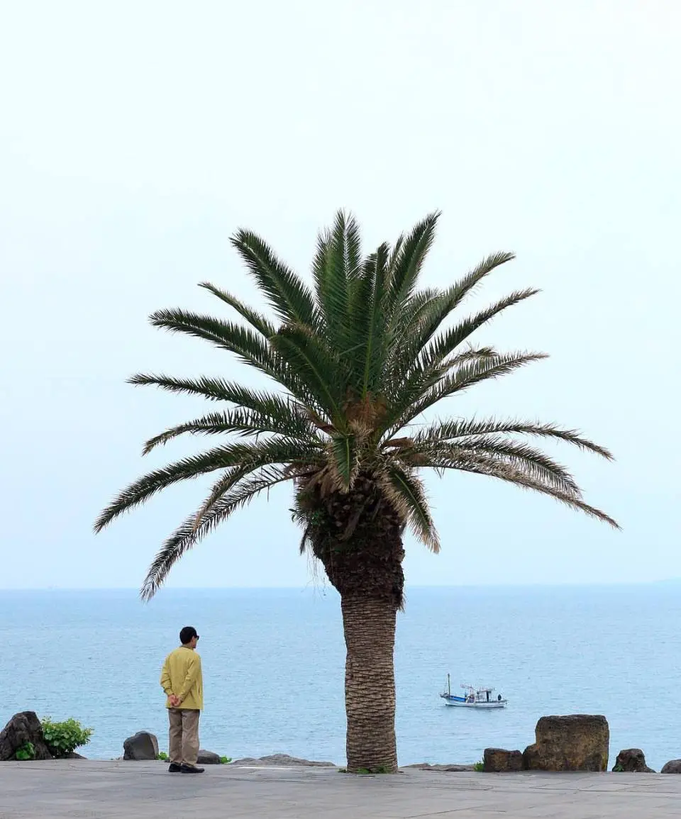 photo_2024-08-03 18.25.41.jpeg