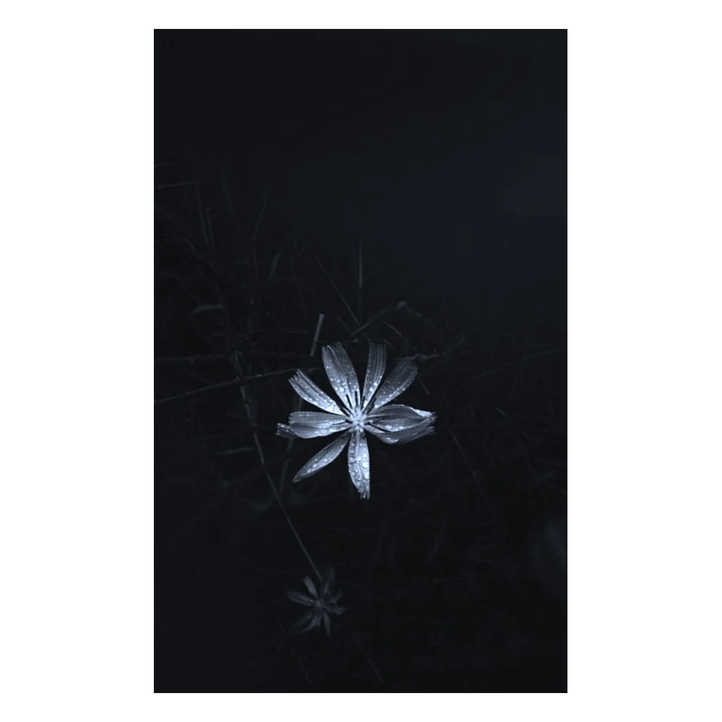 IMG_7092 Edited 2.JPG