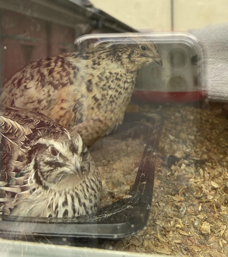 output_105210521.jpg?type=w1