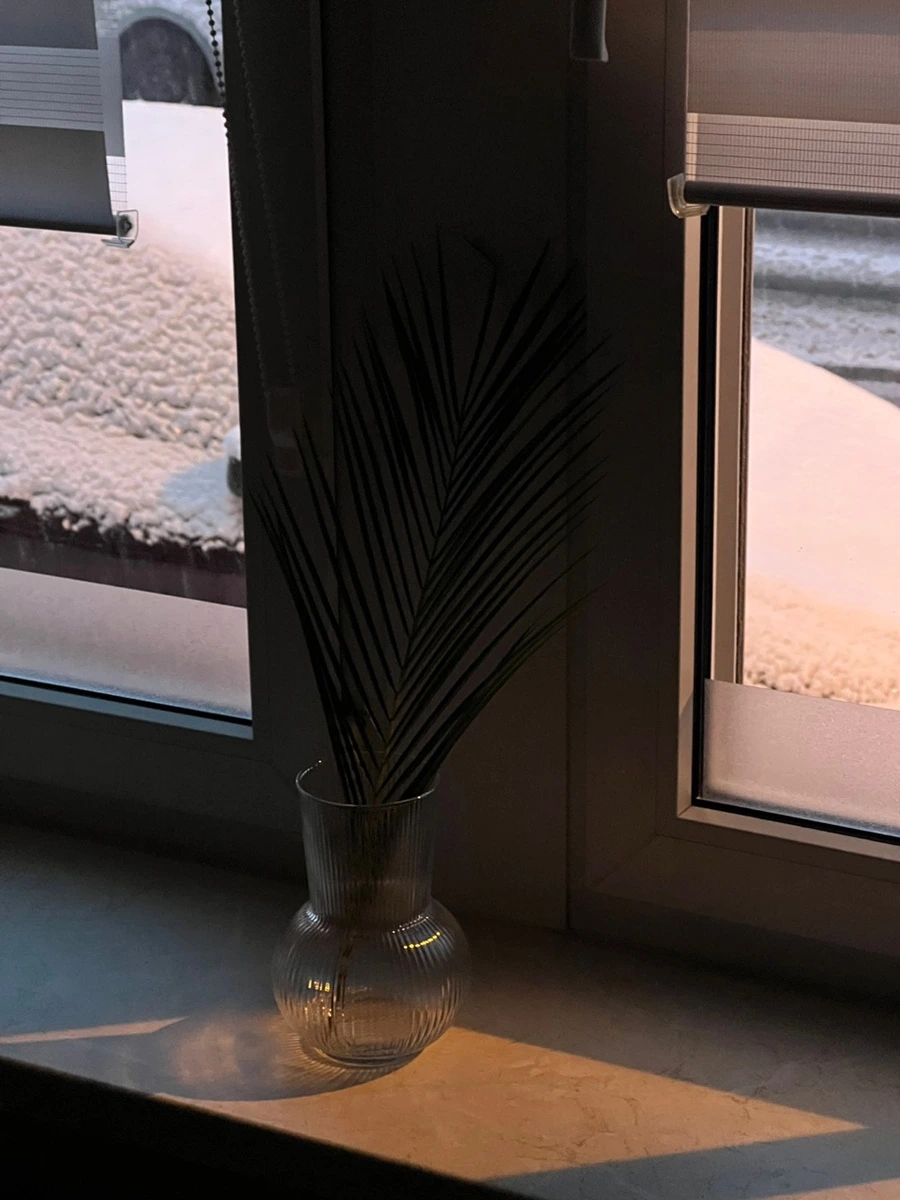 IMG_3819.JPG?type=w1