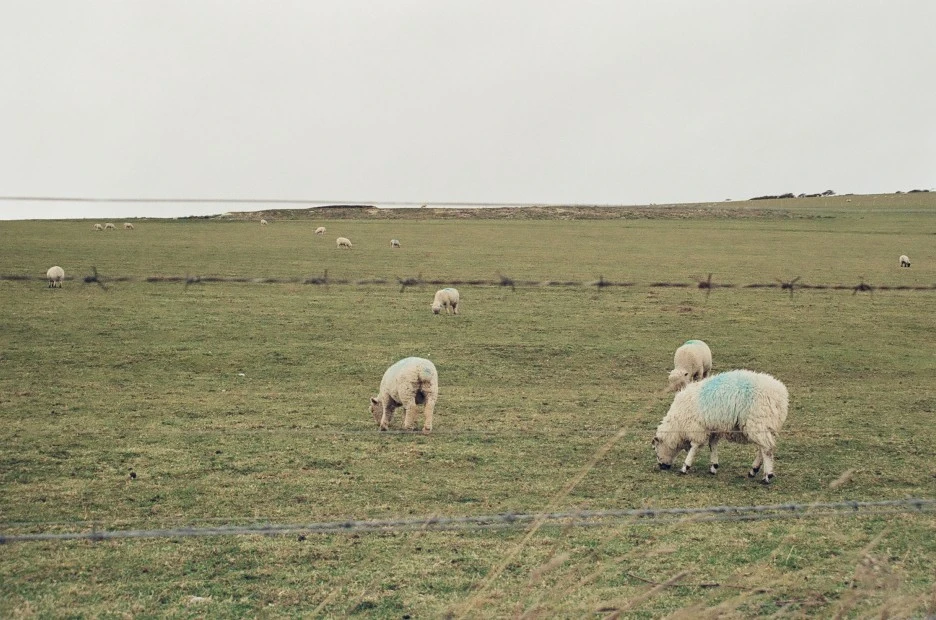 000217250016.jpg?type=w1