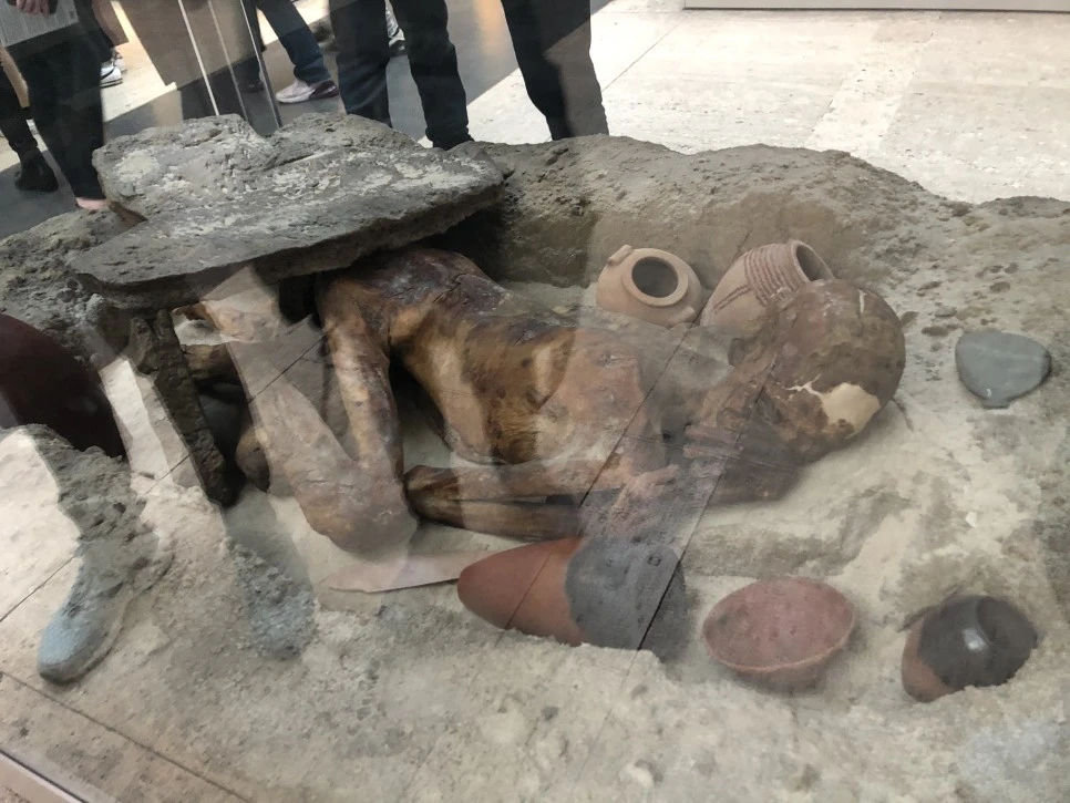 IMG_3907.JPEG?type=w966