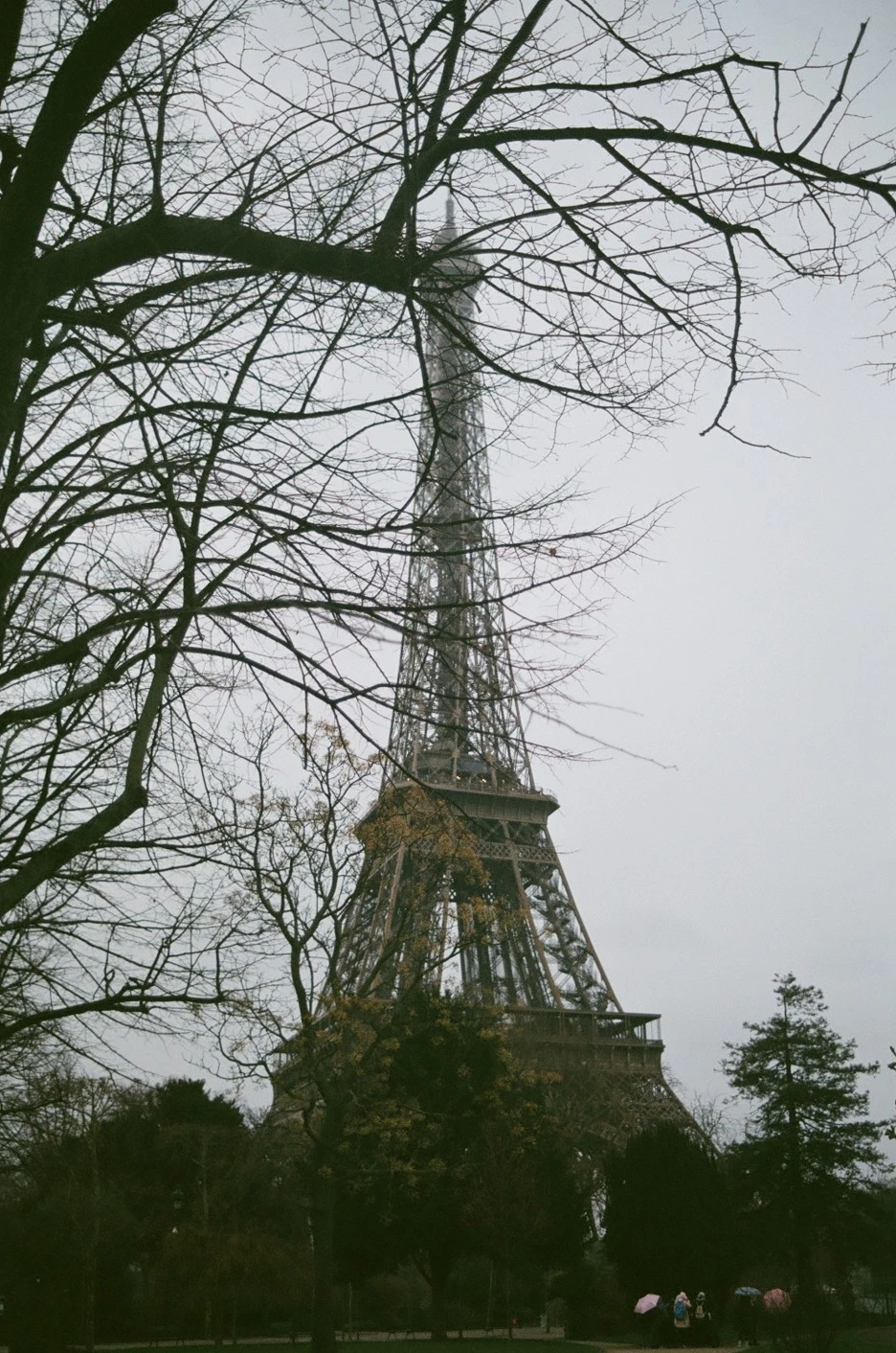 000217360037.jpg?type=w1