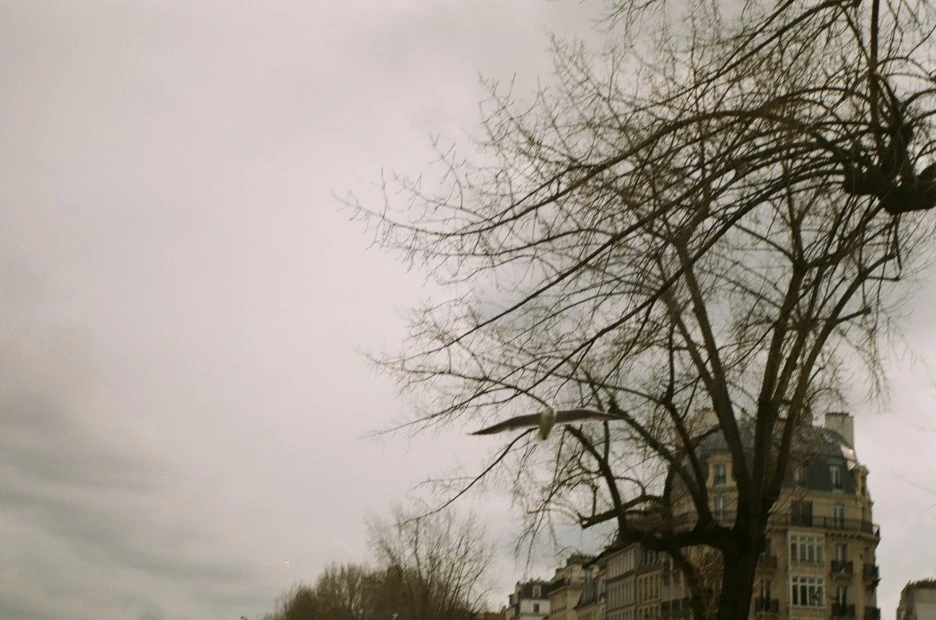 000217360032.jpg?type=w1