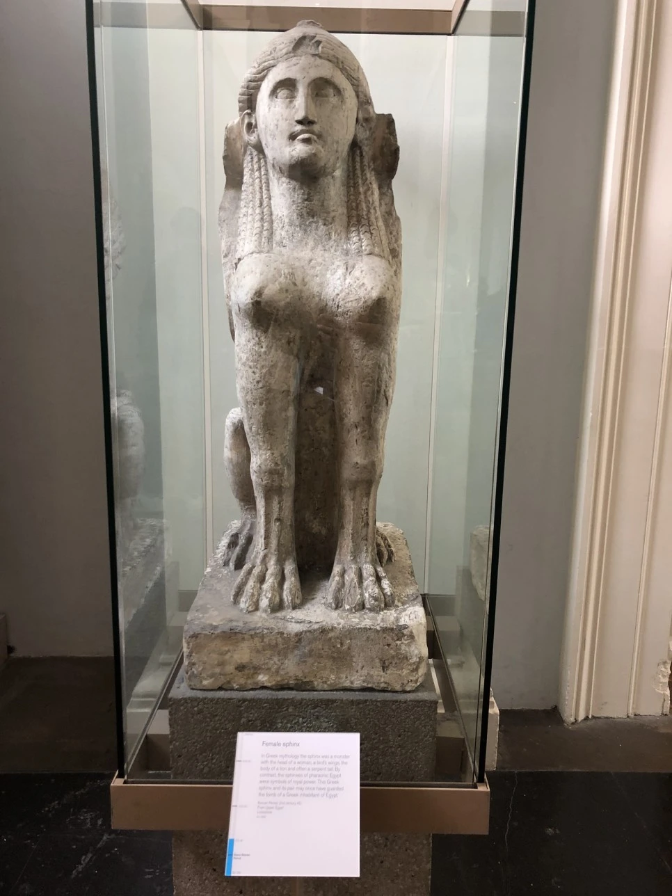 IMG_3858.JPEG?type=w966