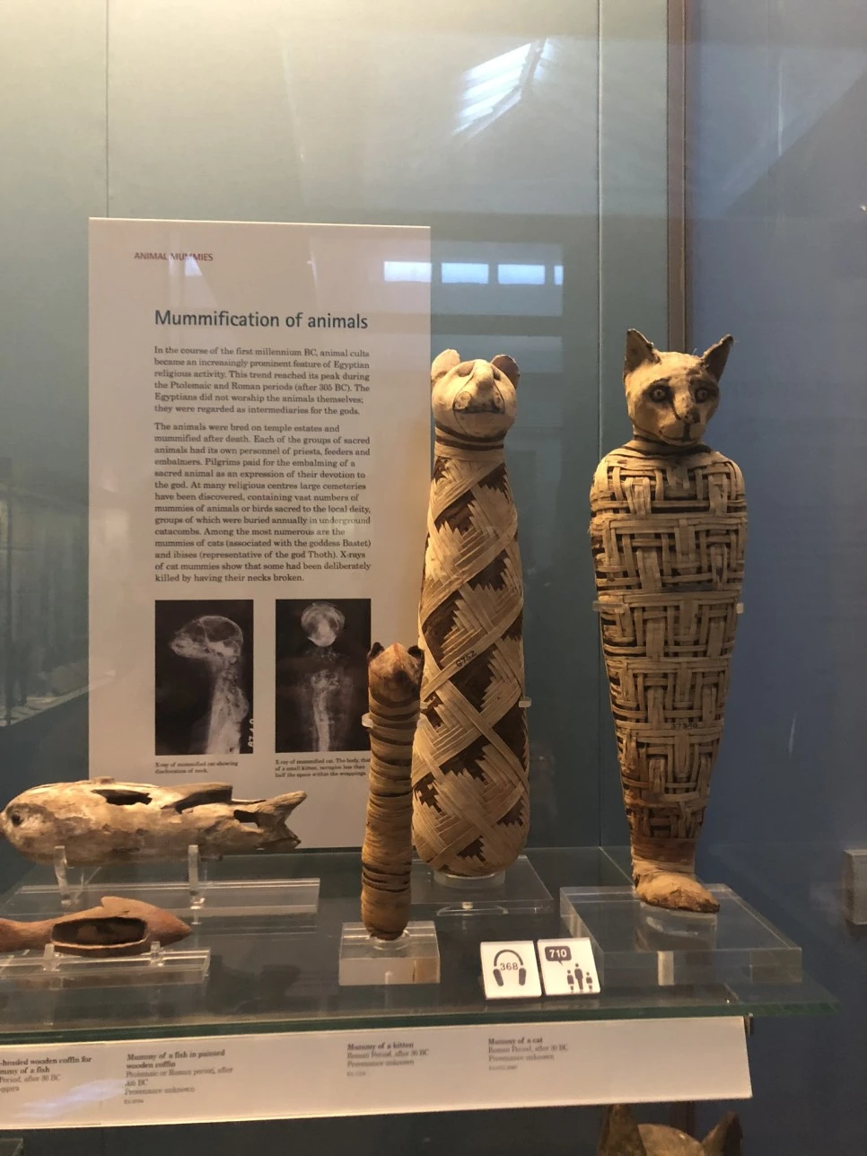 IMG_3913.JPEG?type=w966