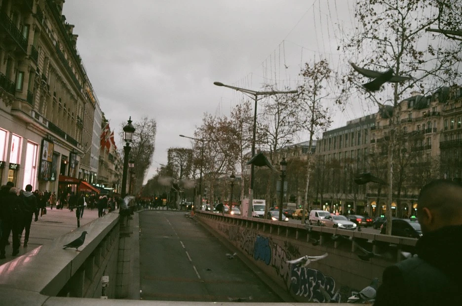 000217360013.jpg?type=w1