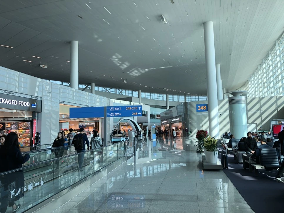 IMG_3745.JPEG?type=w966