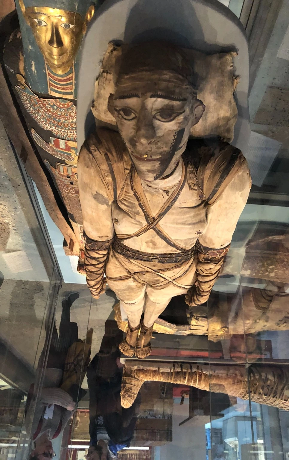 SE-b68fc590-2df5-4277-b64c-66004c9c1bf7.jpg?type=w966