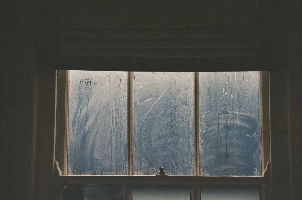 000217250037.jpg?type=w966