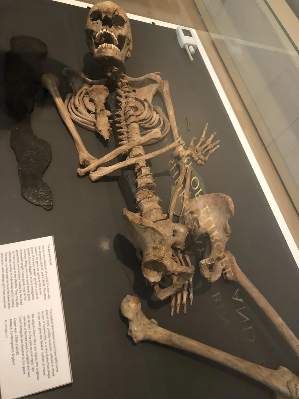 IMG_3904.JPEG?type=w966