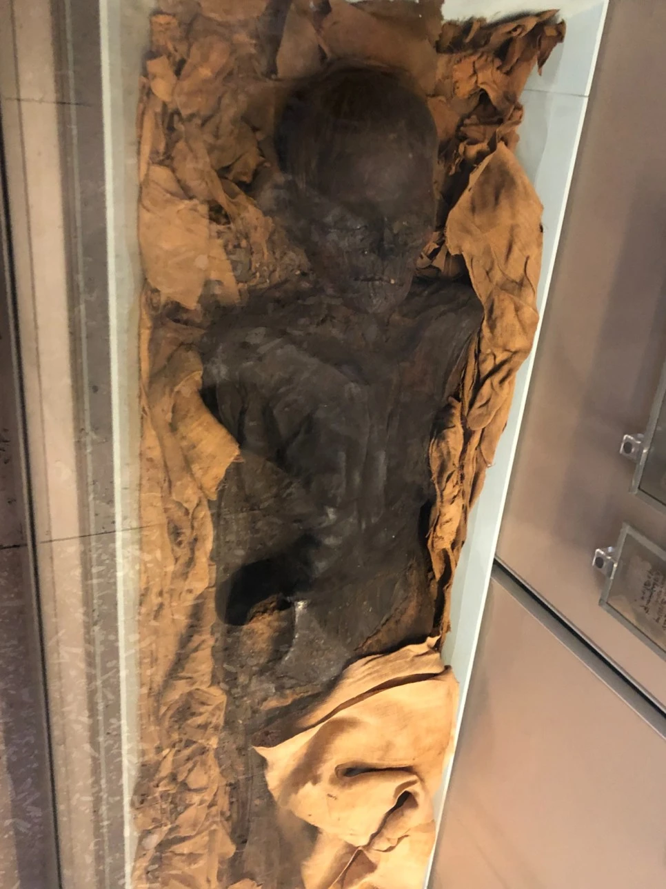 SE-9d8a44be-401e-4c83-910c-6c7b6040c6e2.jpg?type=w966