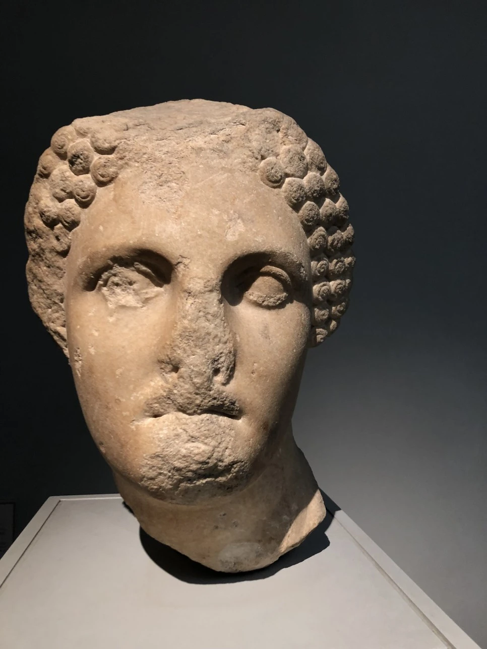 IMG_3874.JPEG?type=w966