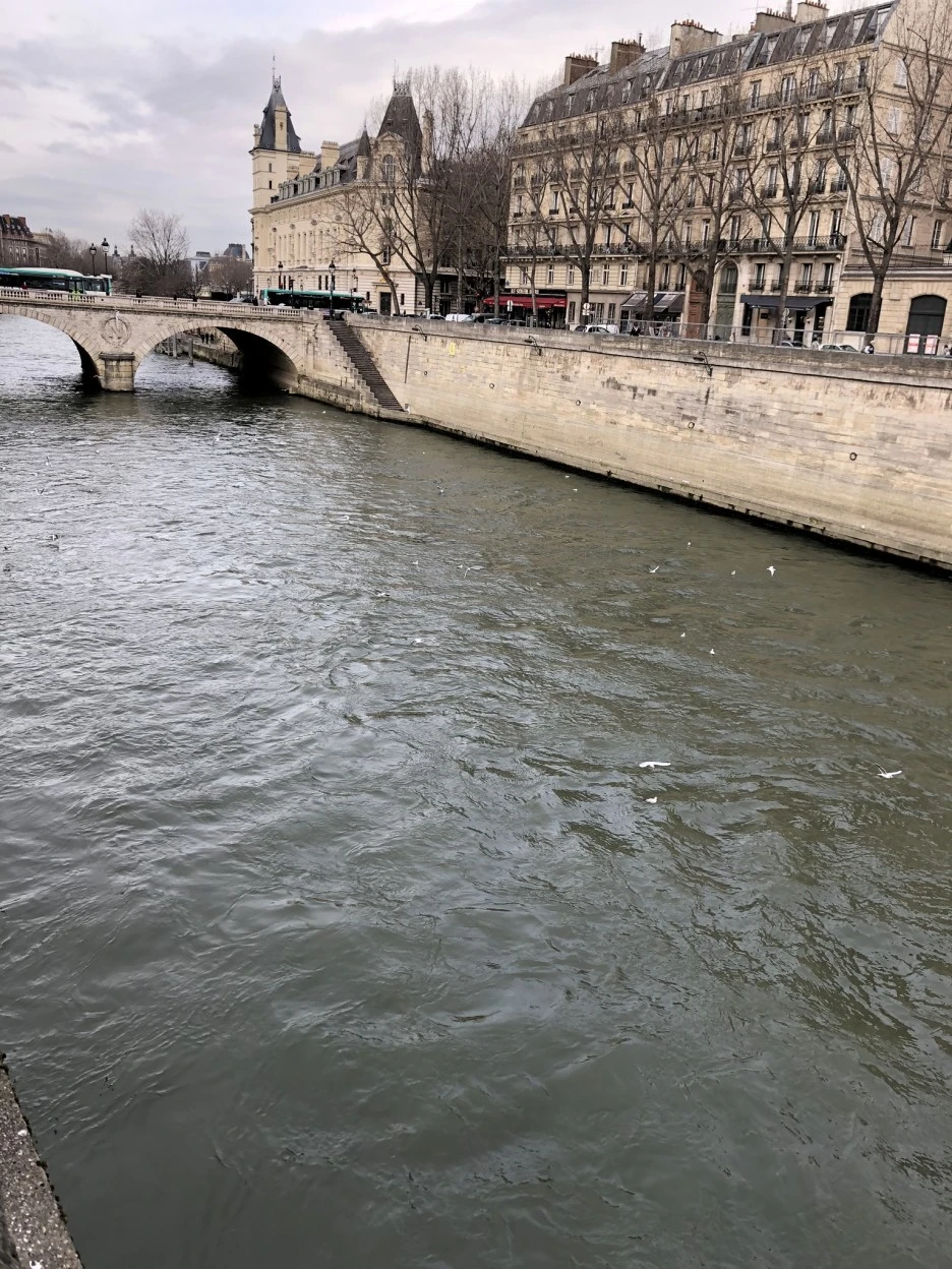 IMG_4388.JPEG?type=w1