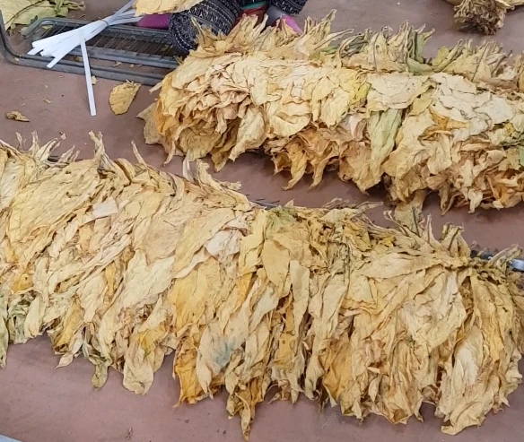 %EC%97%BD%EC%97%B0%EC%B4%88.png?type=w1