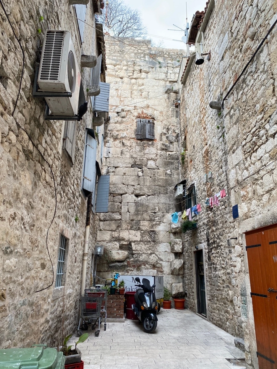 KakaoTalk_Photo_2022-03-10-10-16-30 013.jpeg