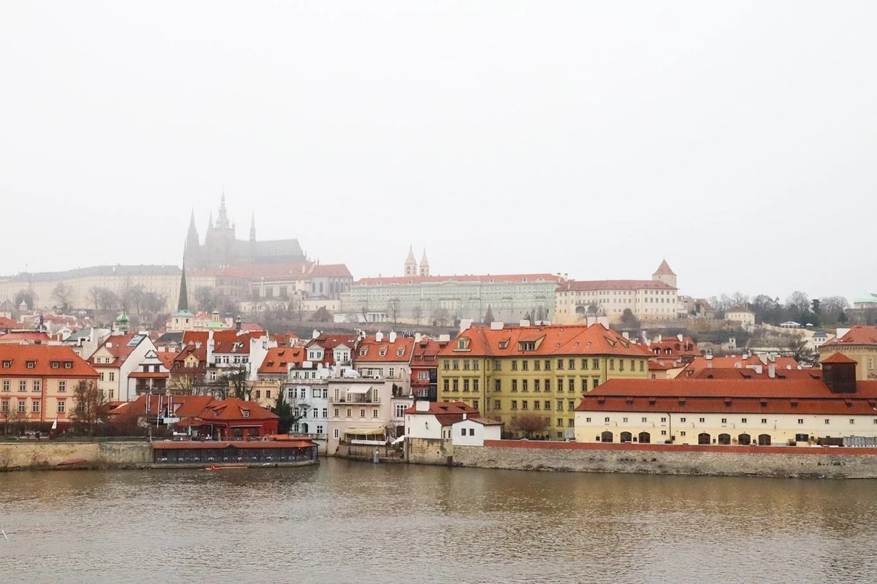 KakaoTalk_Photo_2022-01-22-11-03-53 024.jpeg