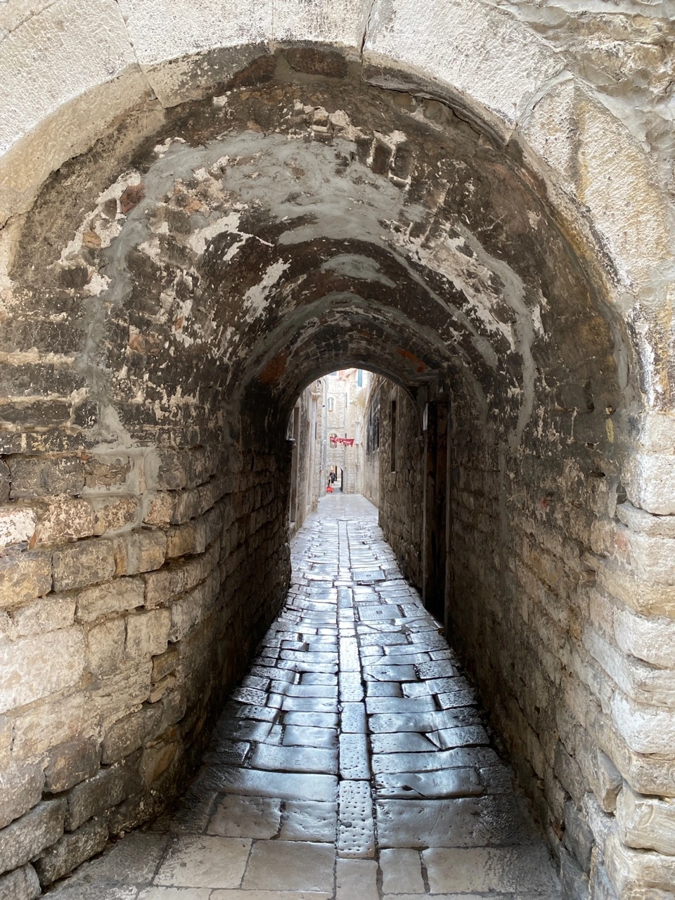 KakaoTalk_Photo_2022-03-10-10-16-44 016.jpeg