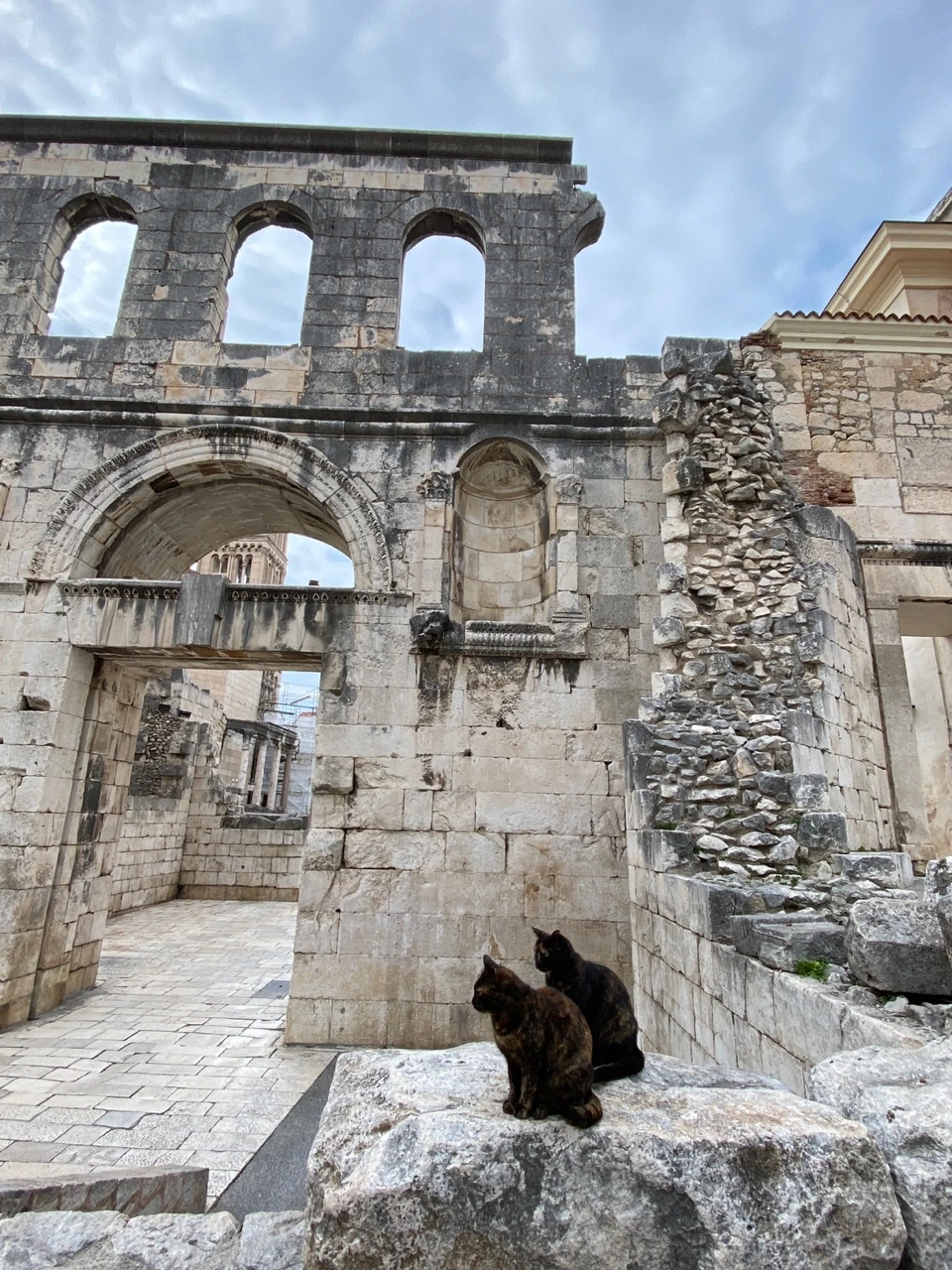 KakaoTalk_Photo_2022-03-10-10-19-30 022.jpeg