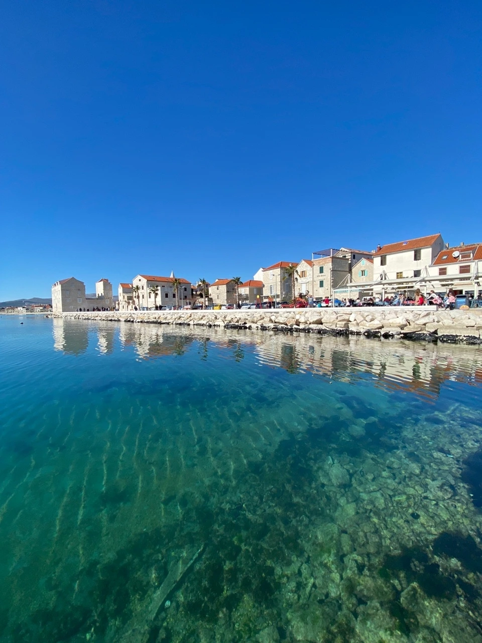 KakaoTalk_Photo_2022-02-23-12-16-16 019.jpeg