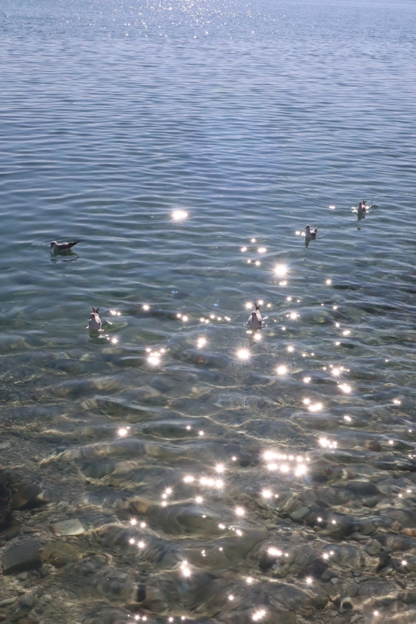 KakaoTalk_Photo_2022-02-23-12-10-44 005.jpeg