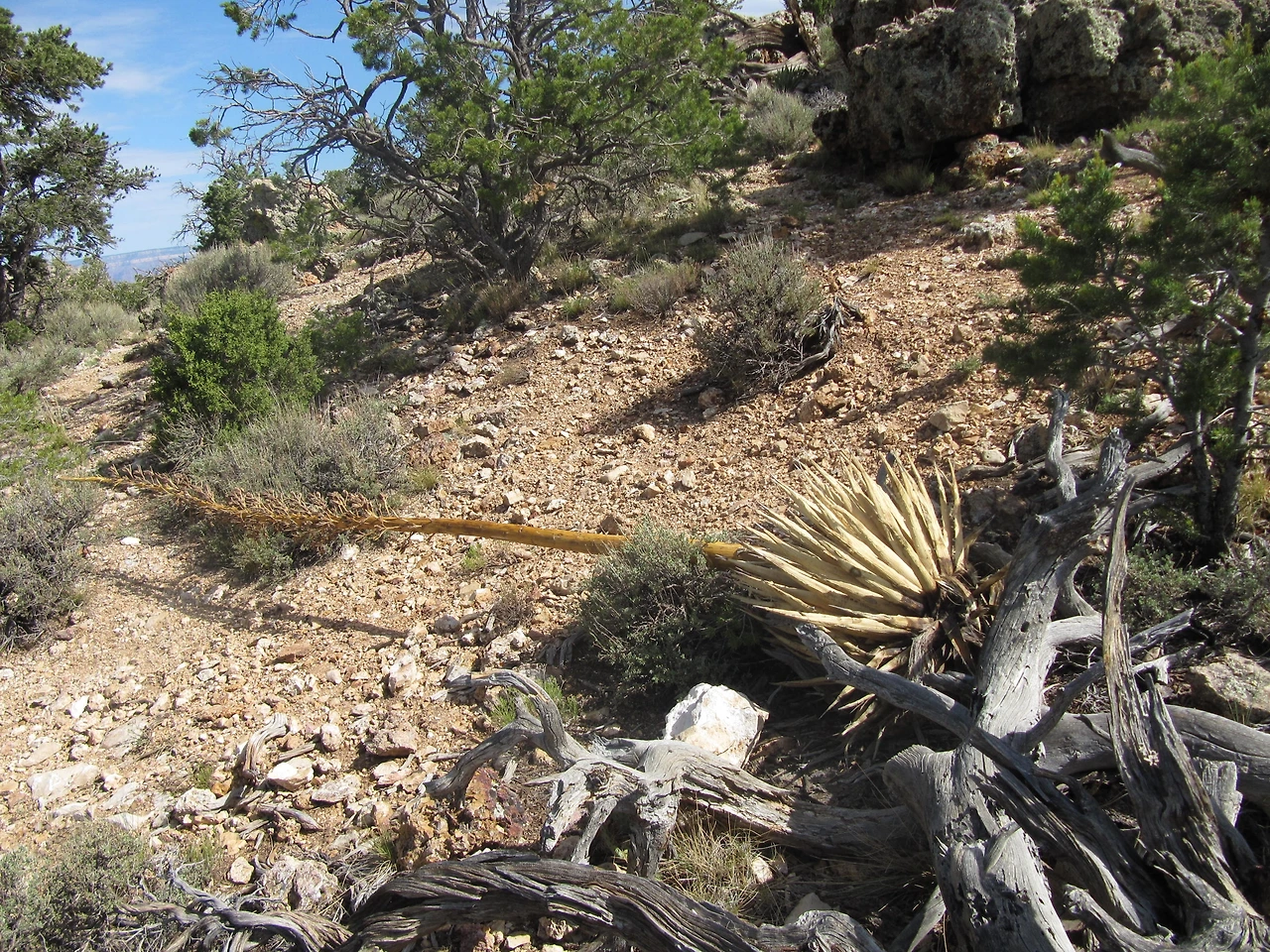 travel_120721 180.JPG