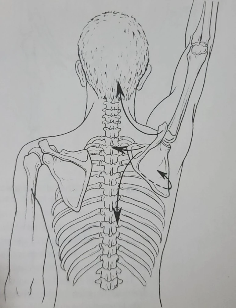 KakaoTalk_20220109_021629438.jpg?type=w773