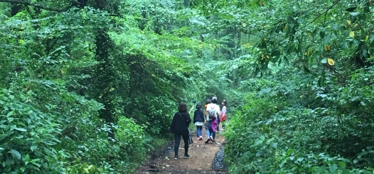 NaverBlog_20171004_010814_01.jpg?type=w2