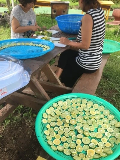 NaverBlog_20171020_143131_11.jpg?type=w2