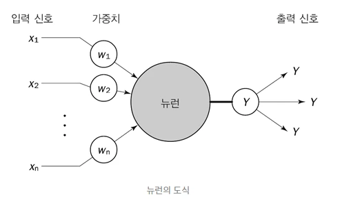 뉴런 도식.PNG