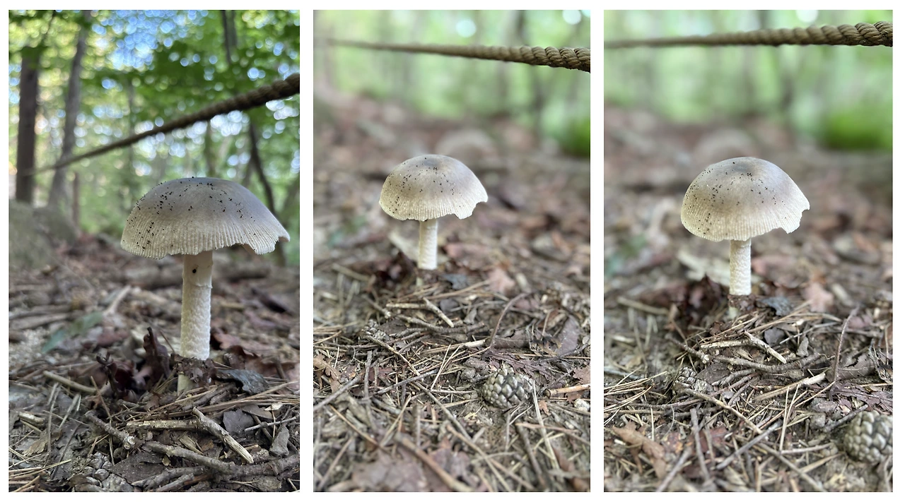 1753507563571?e=1758758400&v=beta&t=gsz4SjCJpRDh7kytQDe6JWf4PJnu4iWzbZw3tnuTVHM